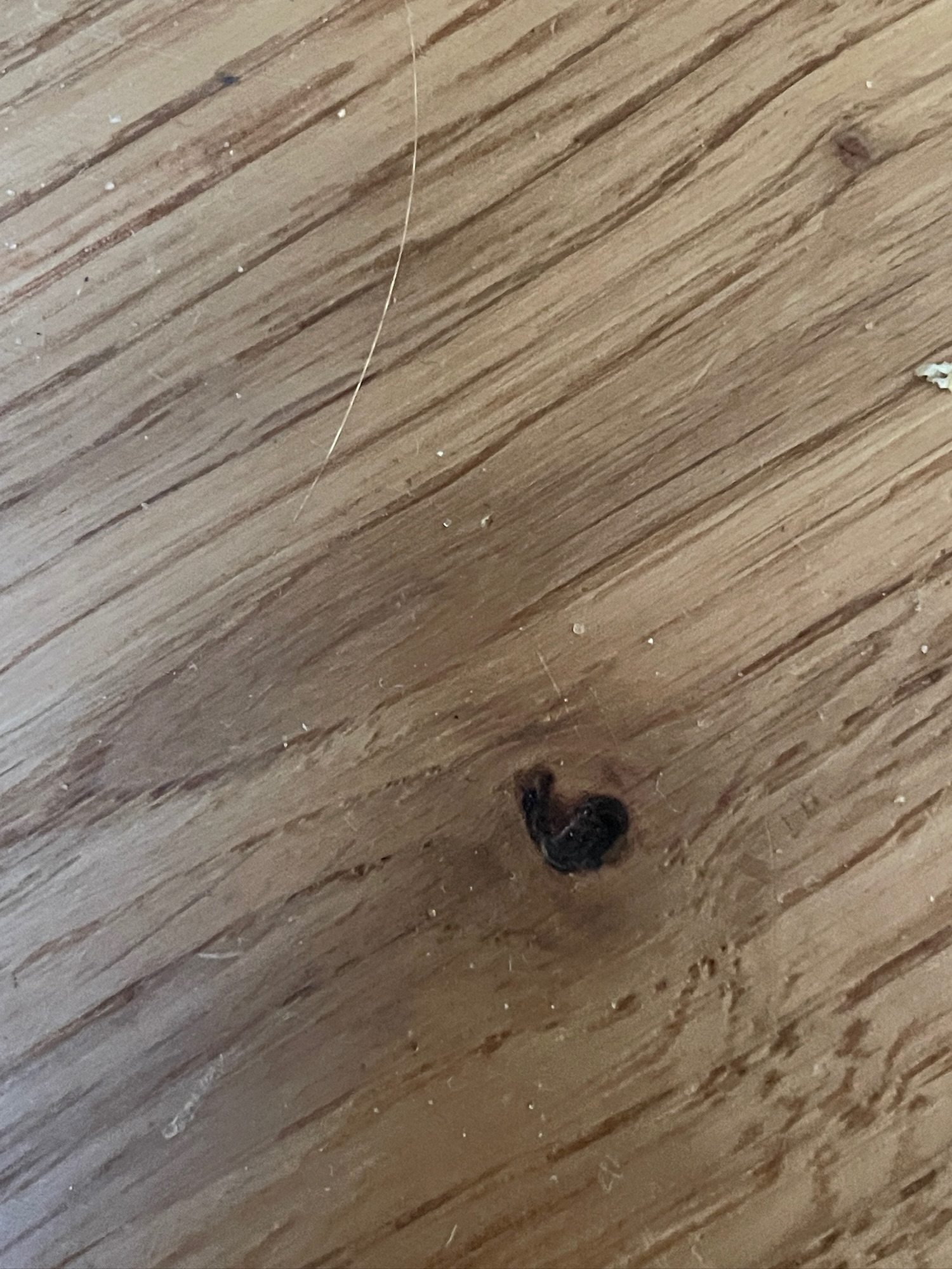 Wo ist meine Freude?