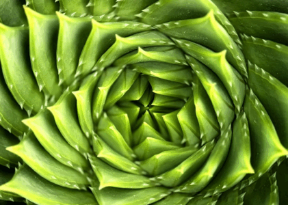 Zentrum sortiert sich neu