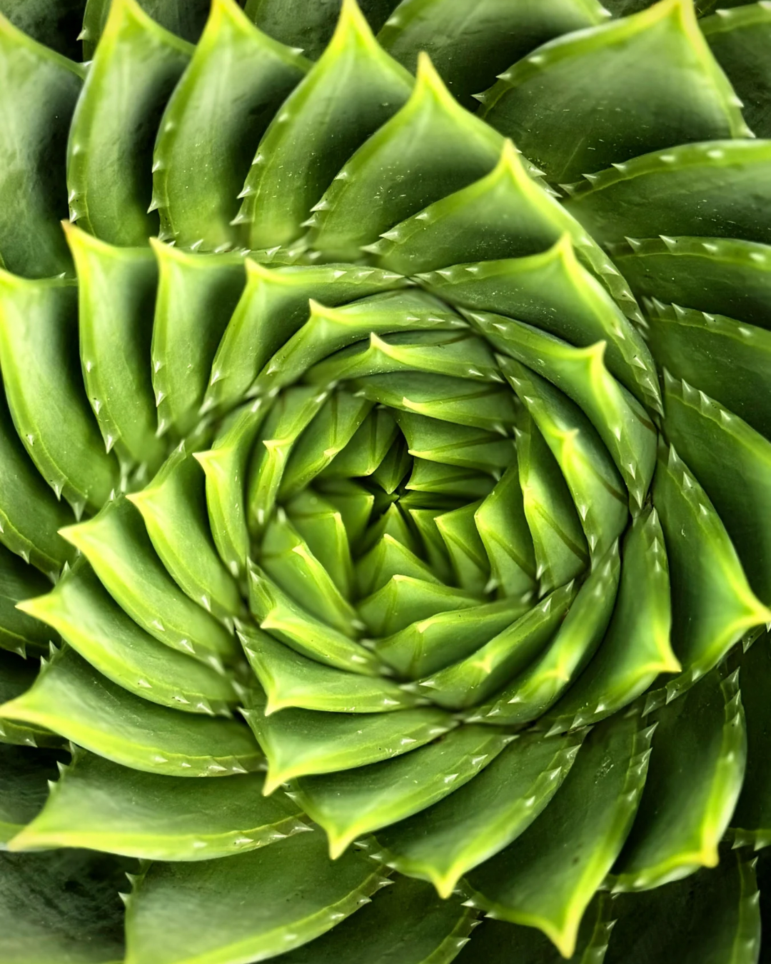 Zentrum sortiert sich neu